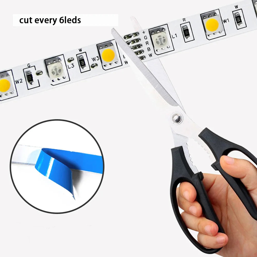Tuya Smart LED Controller DC12V LED Strip