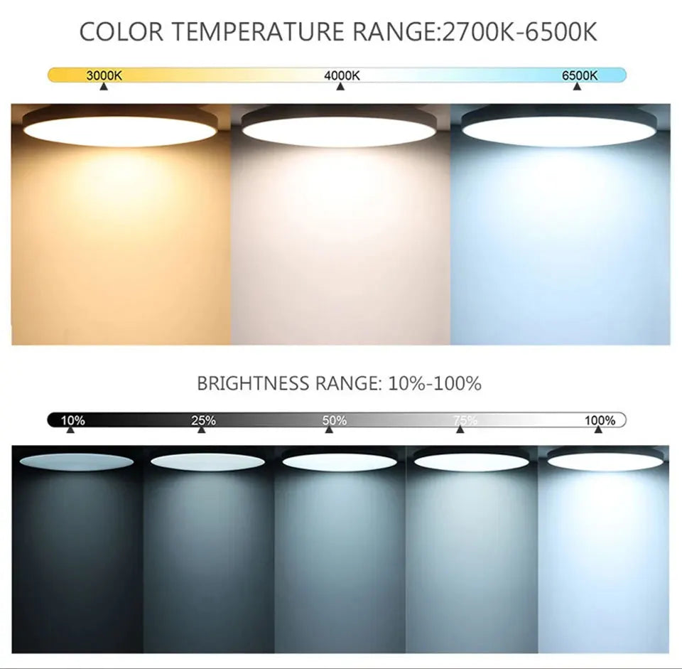 Tuya Smart WiFi Ceiling Light 24W 220V RGB
