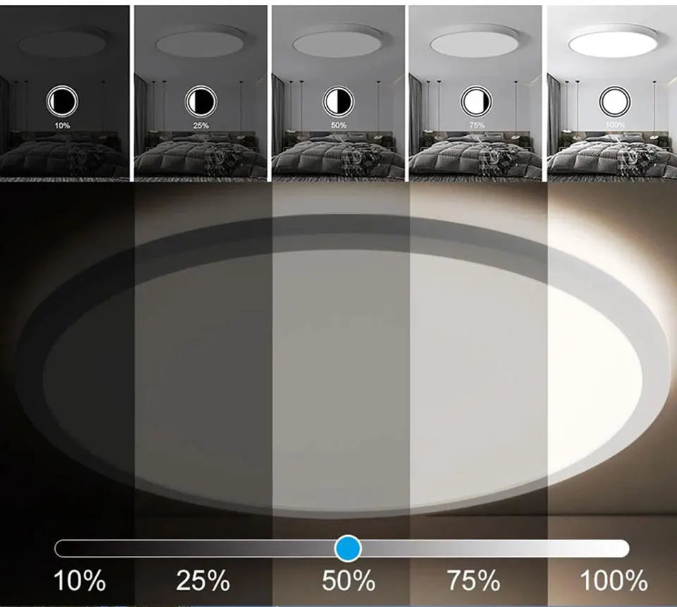 Tuya Smart WiFi Ceiling Light 24W 220V RGB