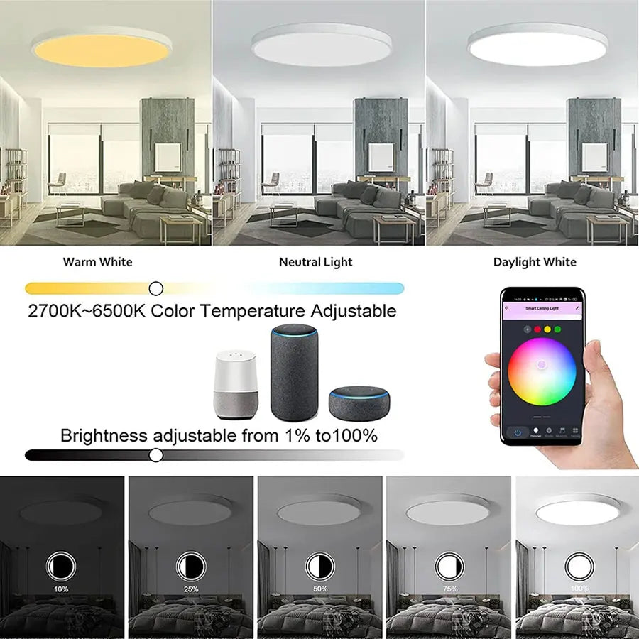 Tuya Smart WiFi Ceiling Light 24W 220V RGB
