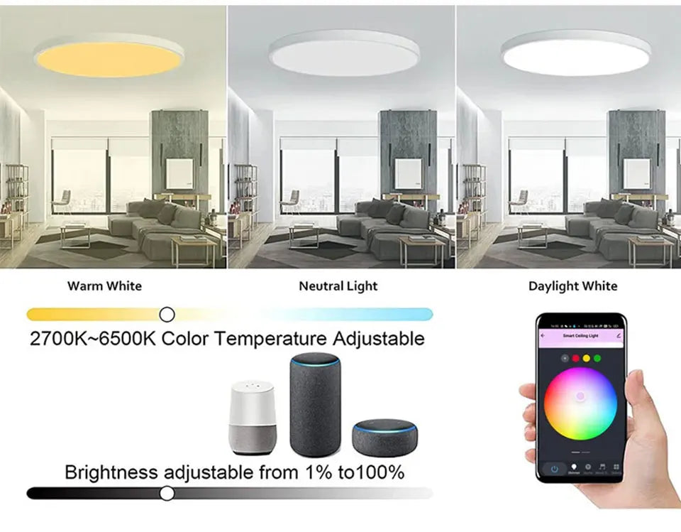 Tuya Smart WiFi Ceiling Light 24W 220V RGB
