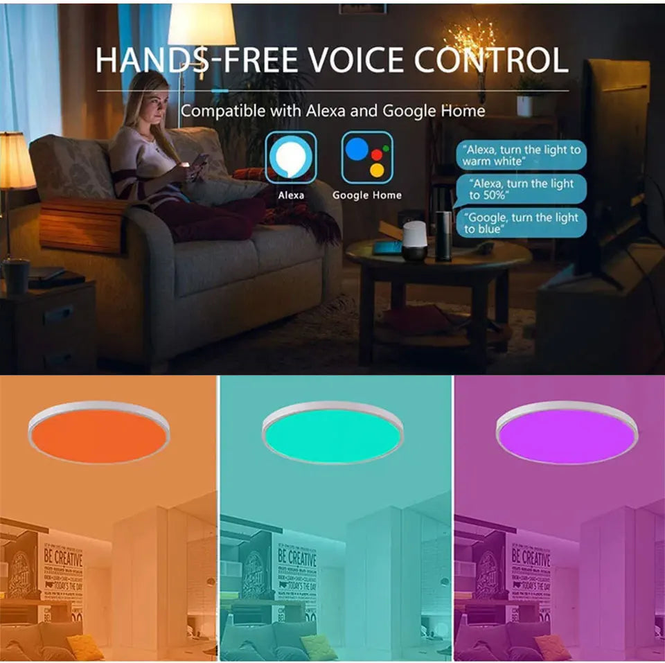 Tuya Smart WiFi Ceiling Light 24W 220V RGB