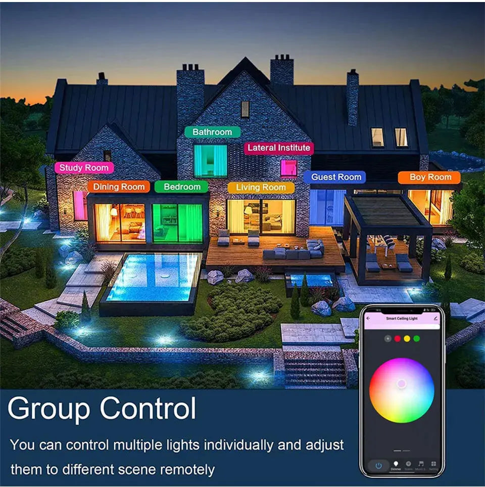 Tuya Smart WiFi Ceiling Light 24W 220V RGB