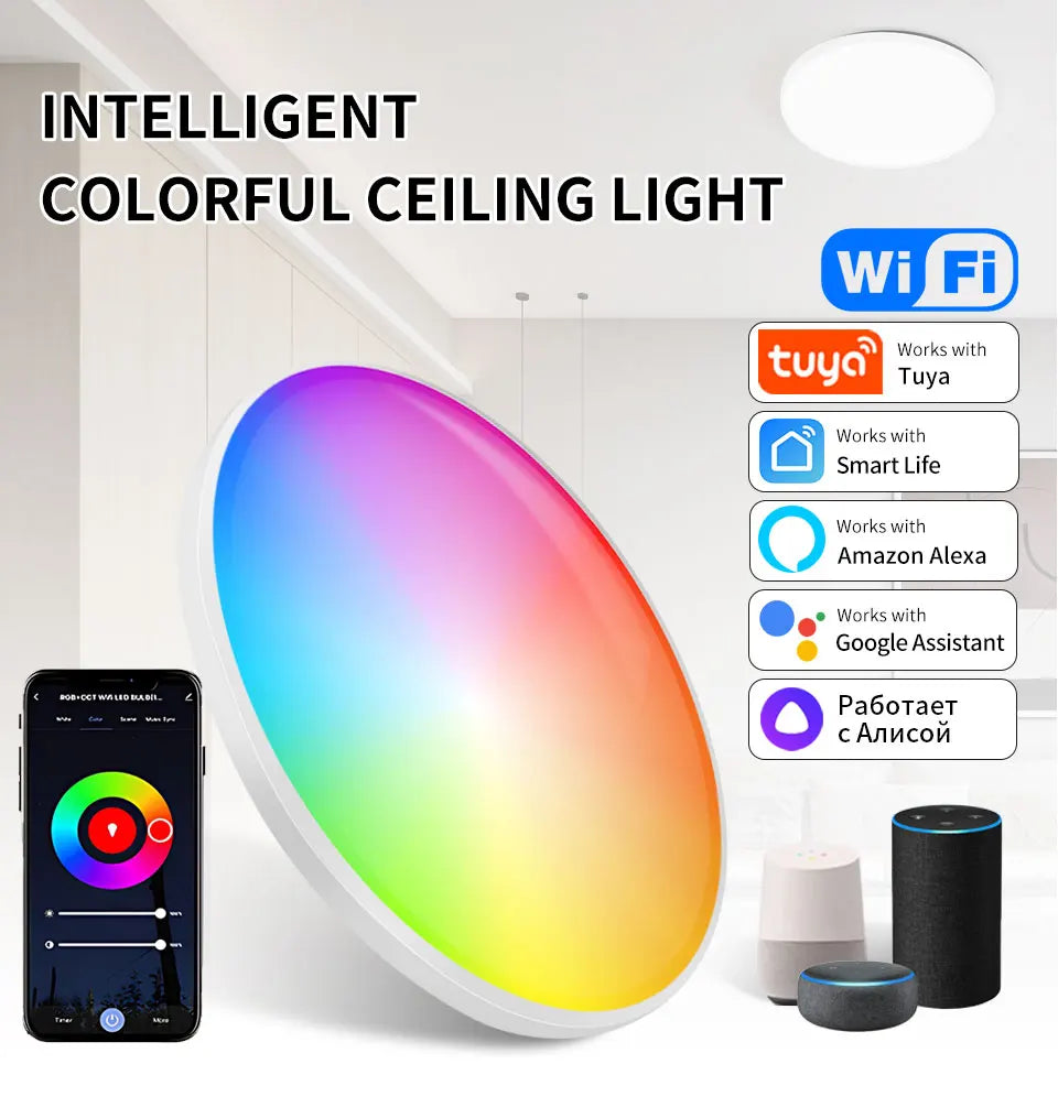 Tuya Smart WiFi Ceiling Light 24W 220V RGB