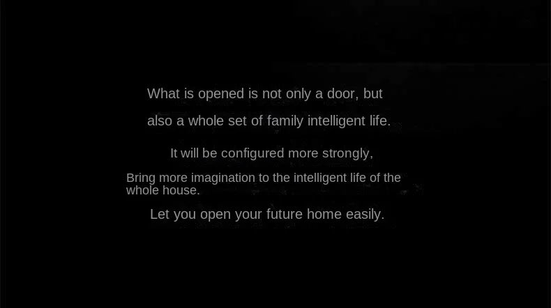 Aqara Smart Door Lock H100 Automatic (Mainland China Version)