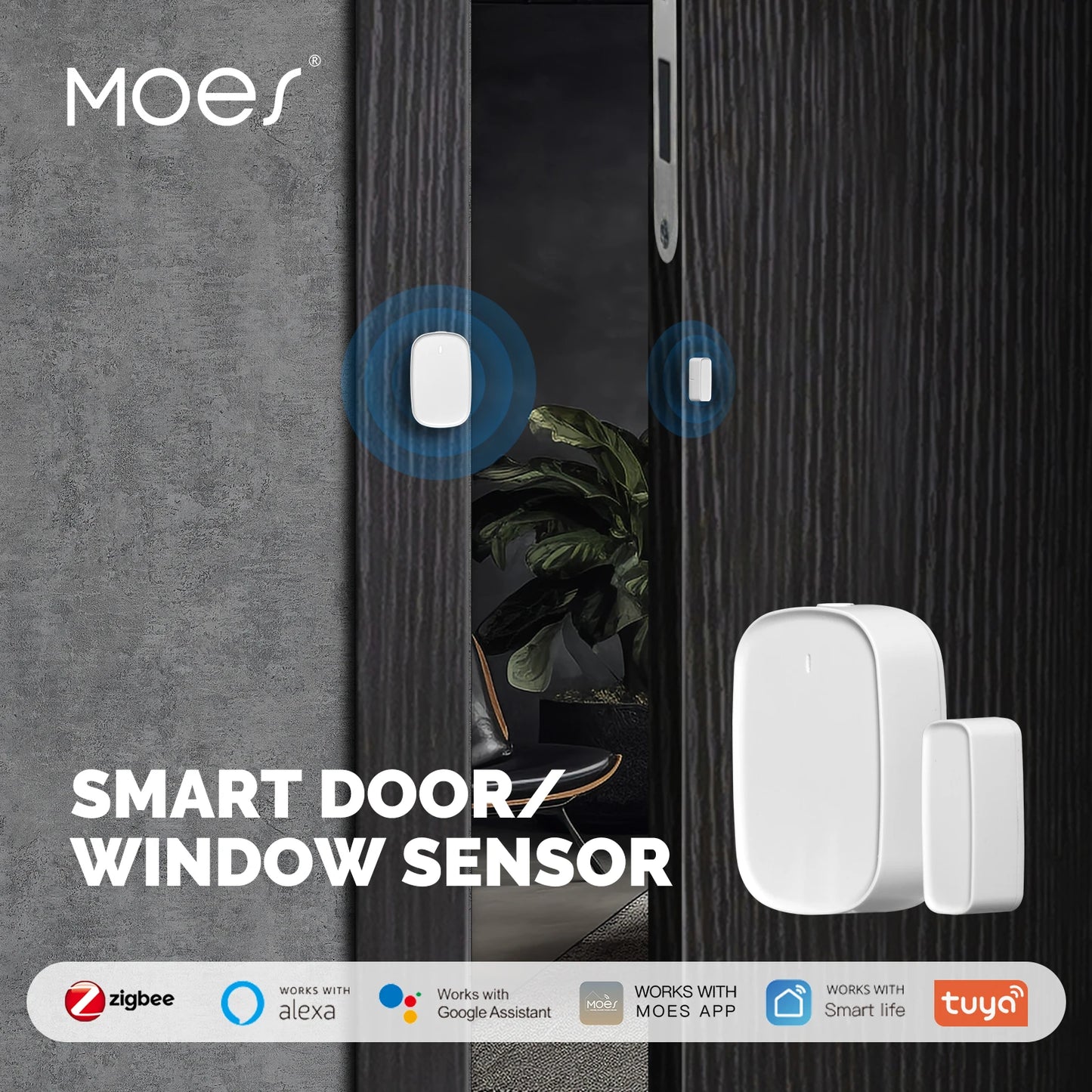Tuya MOES Window Door Gate Sensor