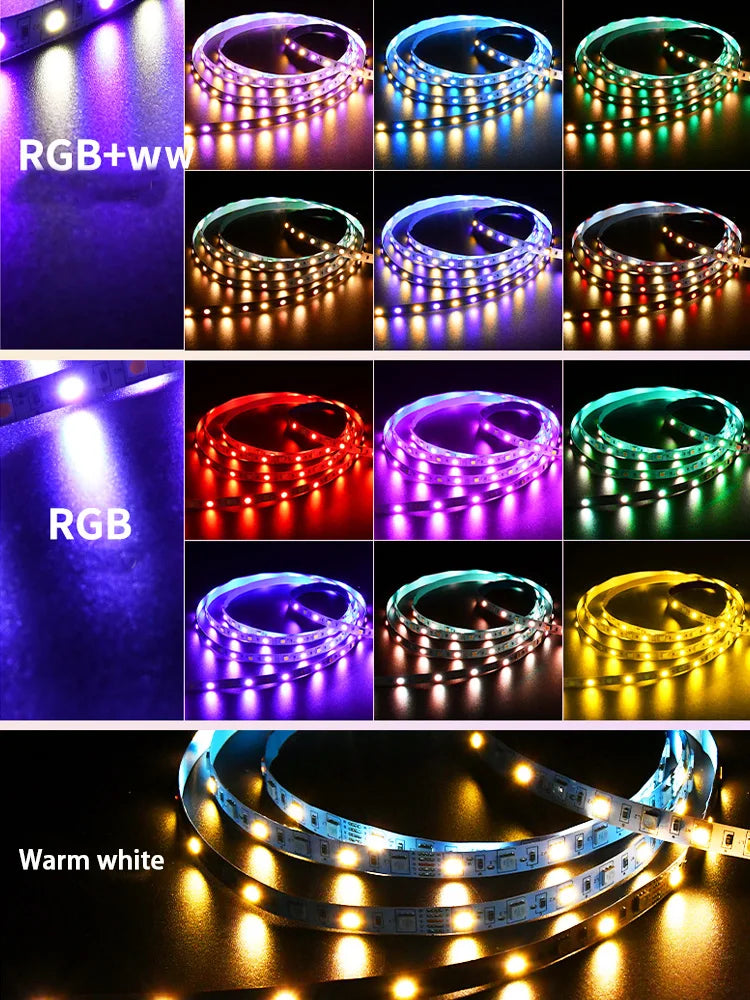 Tuya Smart LED Controller DC12V LED Strip